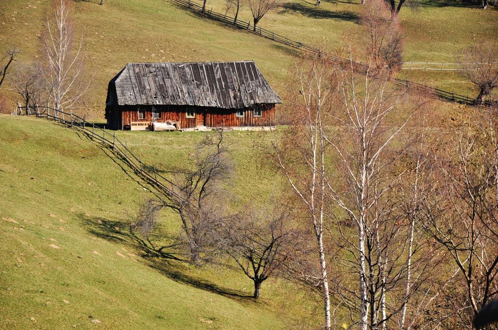 招待所 Samedru Magura (Brasov)
