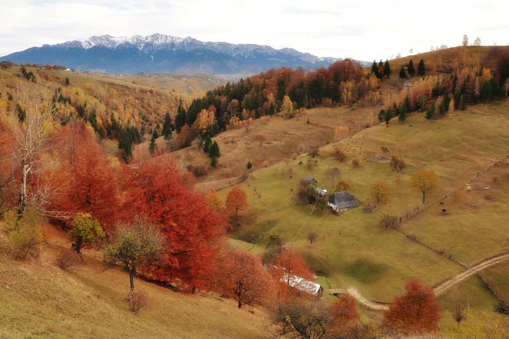 Samedru Magura (Brasov)